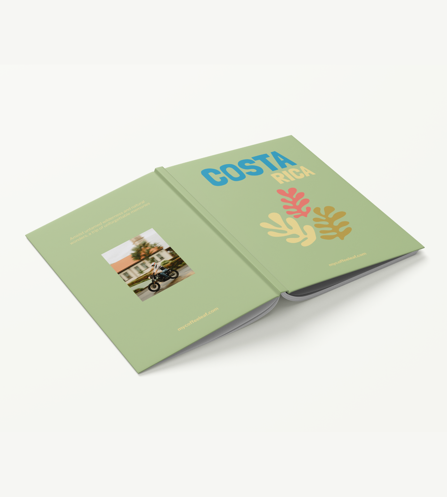 Album de fotos - Fotolibro FRONDS (50 pág)