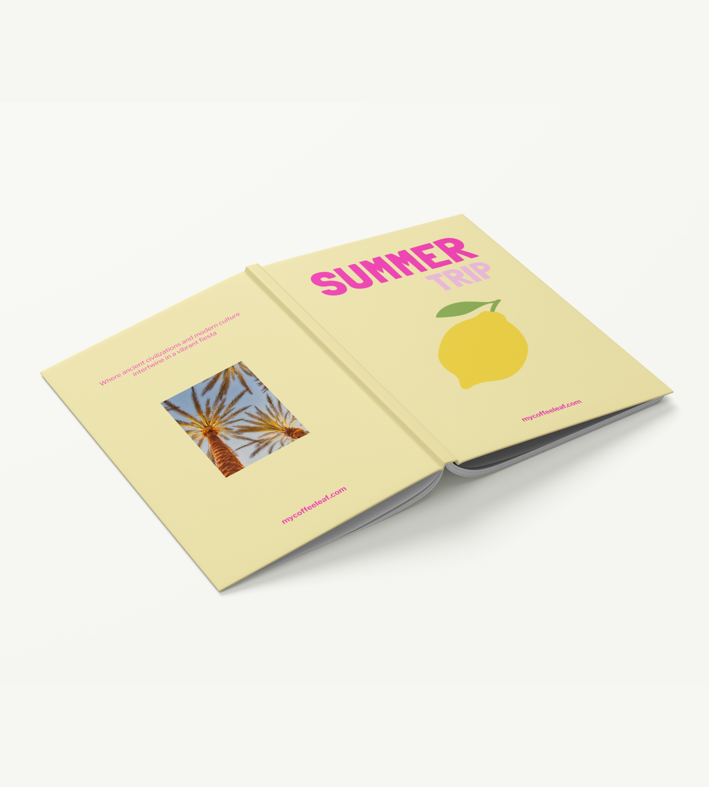 Lemonade 30p